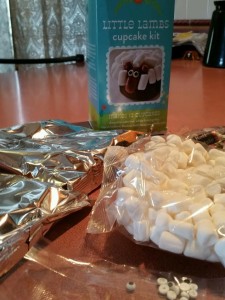 Little Lambs Cupcakes