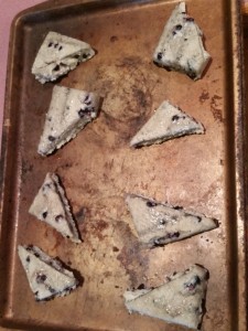 Barista Scones