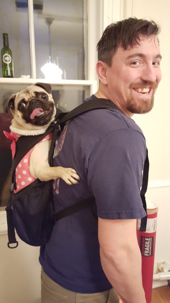 pug carrier backpack