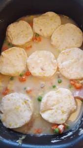 Chicken and Dumpling