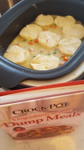 Chicken and Dumpling