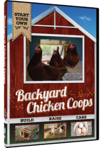 Backyard Chicken Coops