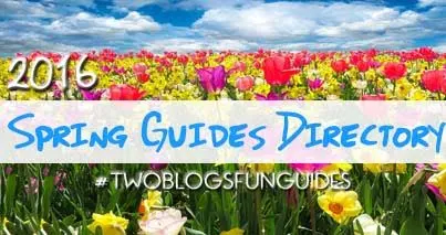 Spring Guides Directory