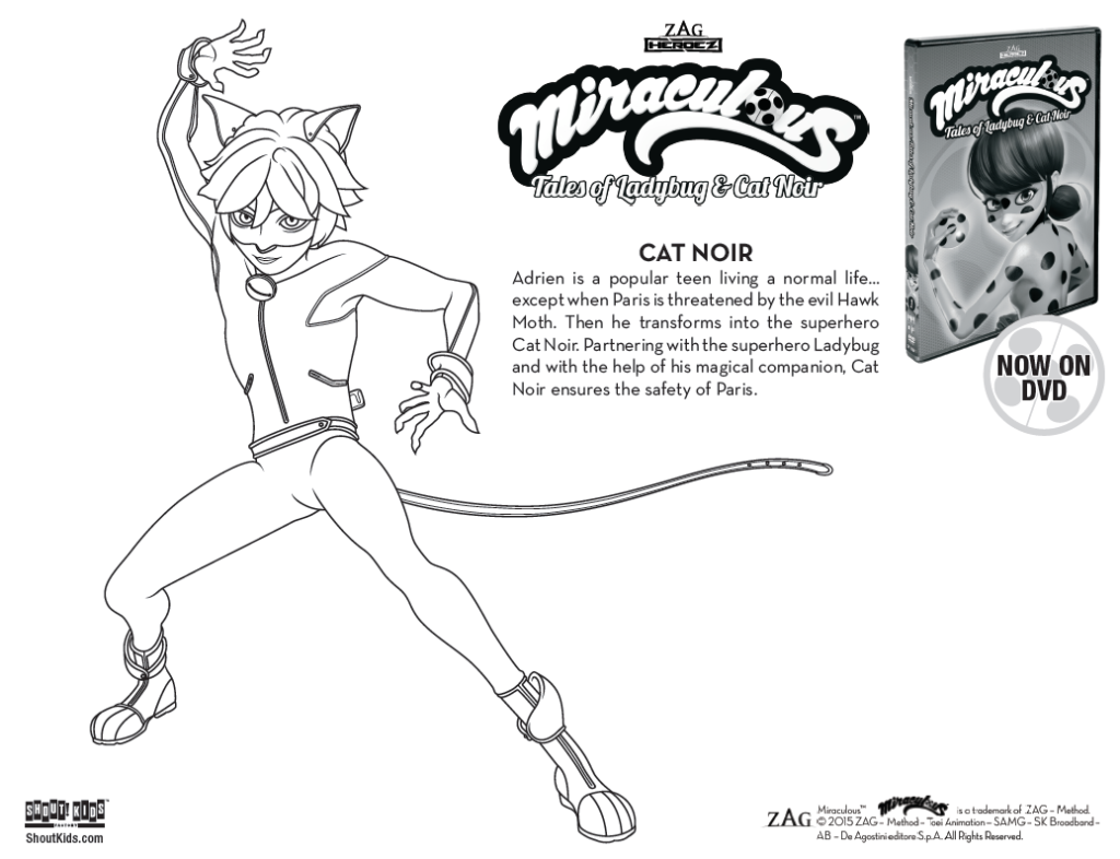 Download Miraculous Tales Of Ladybug Cat Noir Coloring Sheets