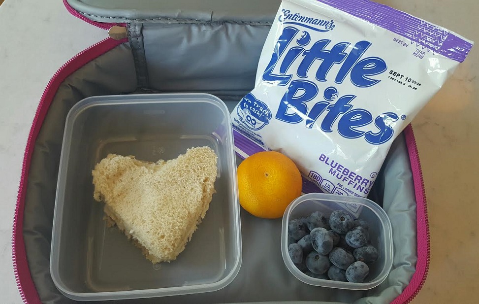 life of the lunchbox