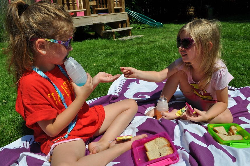 Go Organically Picnic