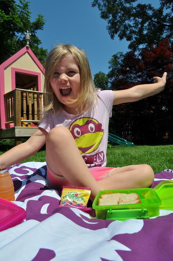 Go Organically Picnic