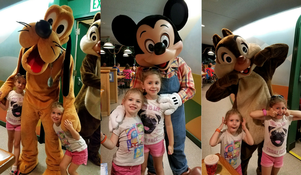 The Garden Grill Character Meet and Greets WDW