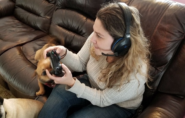 Turtle Beach Headset