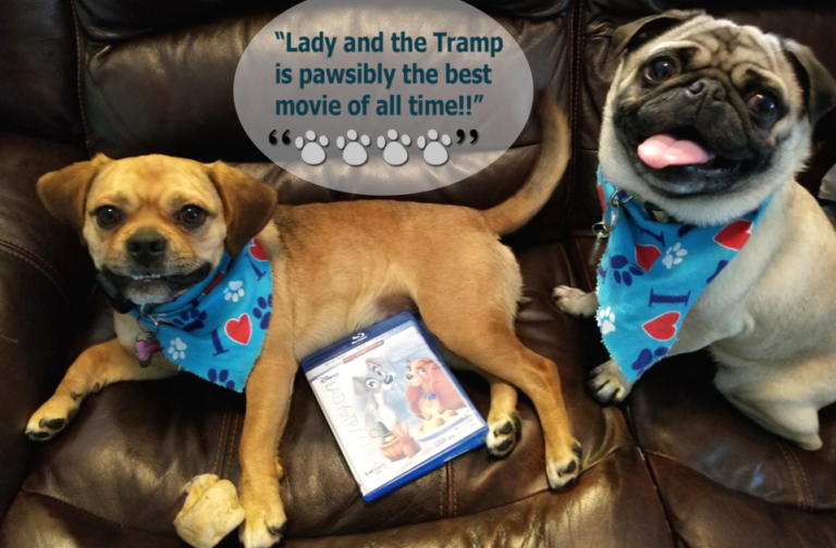 Lady and The Tramp Joins the Walt Disney Signature Collection