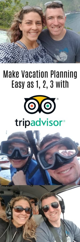 tripadvisor pin 2
