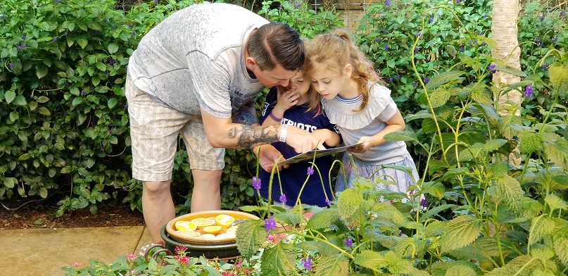 STRONG Museum Butterfly garden