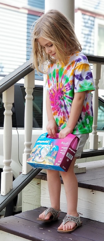 PLAYMOBIL Carry Case Perfect for Travel