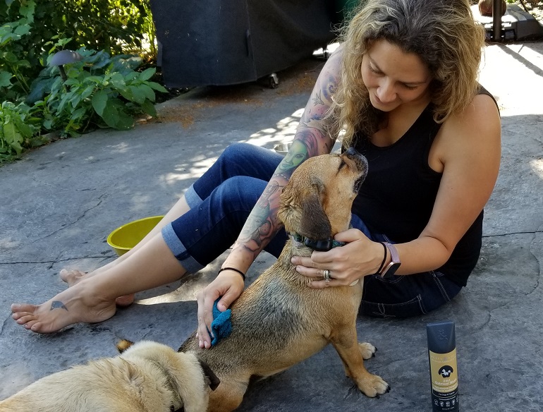 rufus & coco dog wash