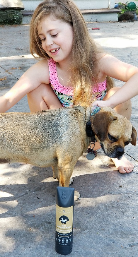 rufus & coco dog wash
