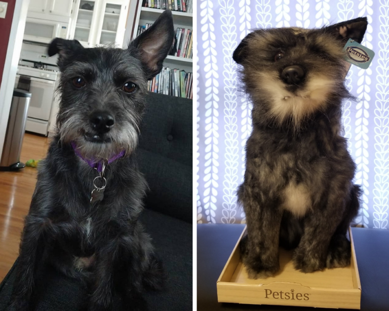 Create A Memorable Gift For Any Pet Lover with A Custom Plush from Petsies