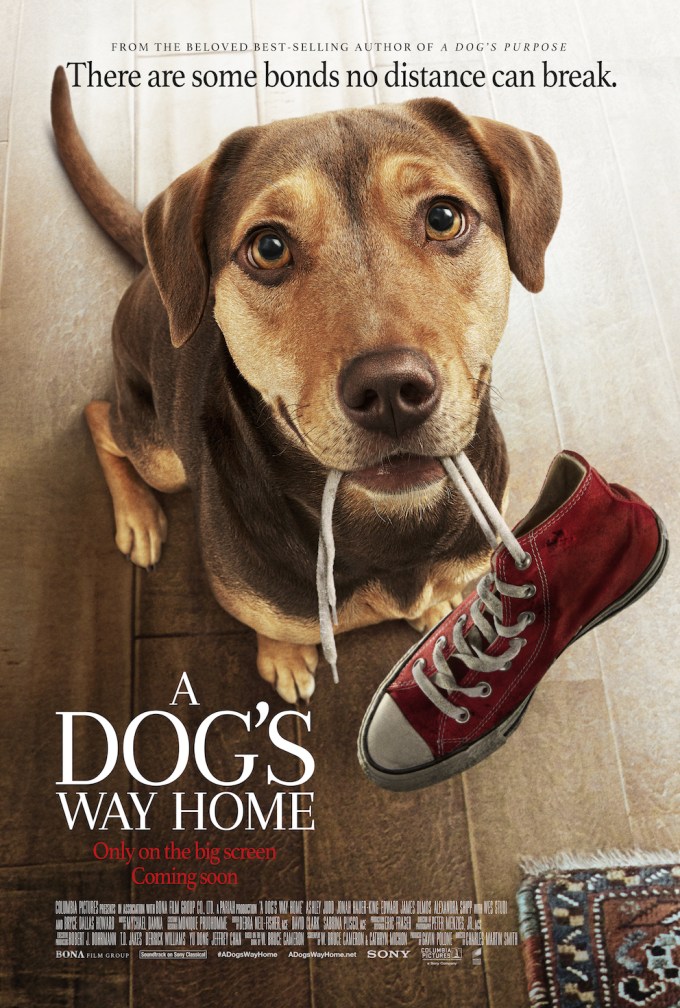 A-Dogs-Way-Home-Poster