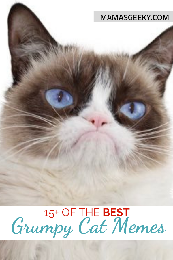 15 Of The Best Grumpy Cat Memes Rest In Peace Mama S Geeky