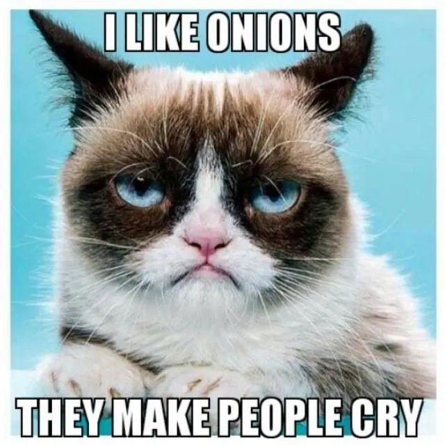 Top 25 Grumpy Cat Memes - CatTime