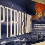What to Expect from the Pterosaur Exhibit at the Canadian Museum of Nature