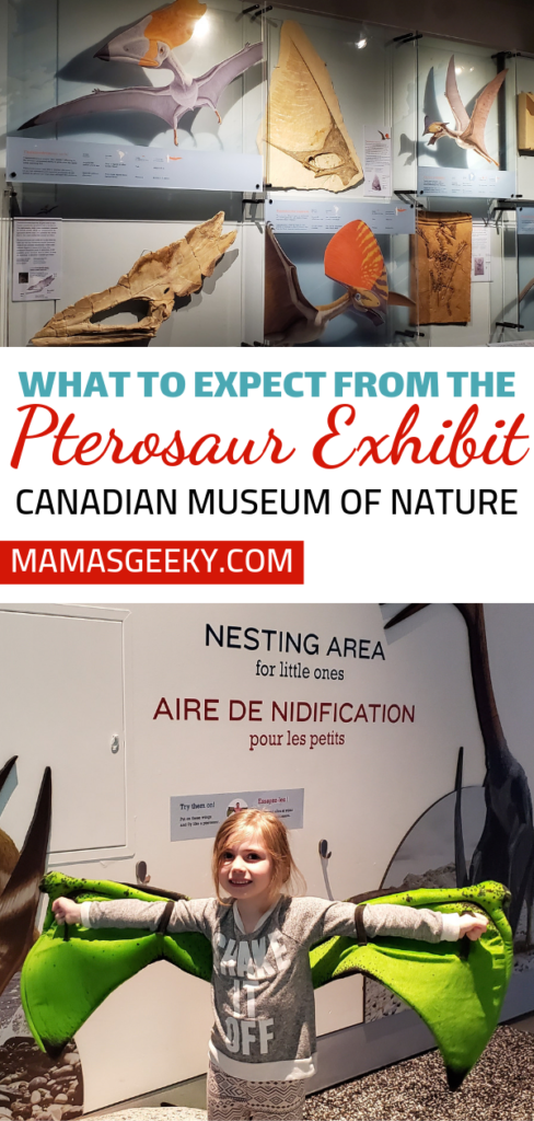 Pterosaur Exhibit Canadian Museum of Nature