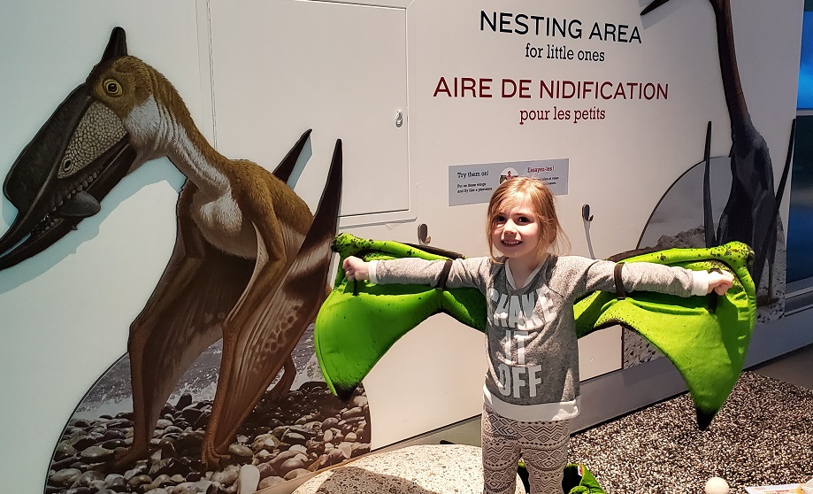 Pterosaur Exhibit nesting area