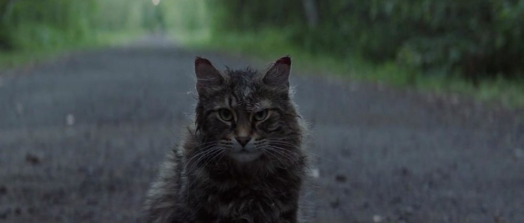 pet sematary church