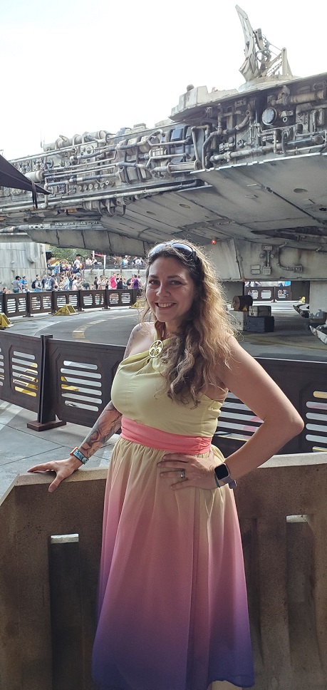 Millennium Falcon Smugglers Run Queue