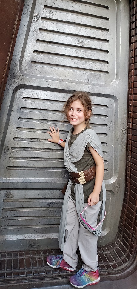 Millennium Falcon Smugglers Run Queue