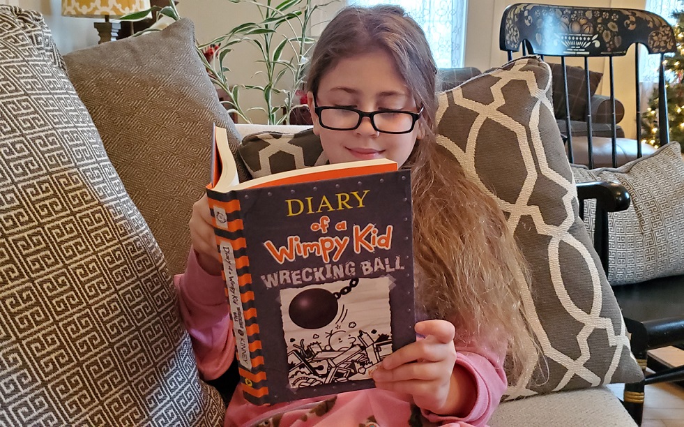 diary of a wimpy kid #14 wrecking ball