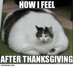 Thanksgiving Meme