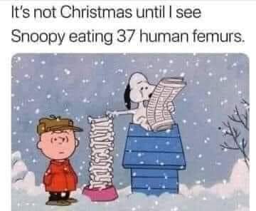 christmas meme snoopy