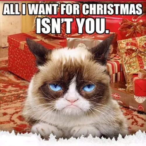 Hilarious Christmas Memes To Share On All Social Media