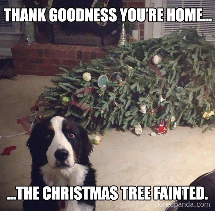 Hilarious Christmas Memes To Share On All Social Media