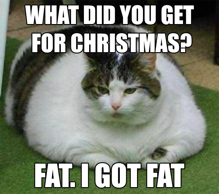 Hilarious Christmas Memes To Share On All Social Media