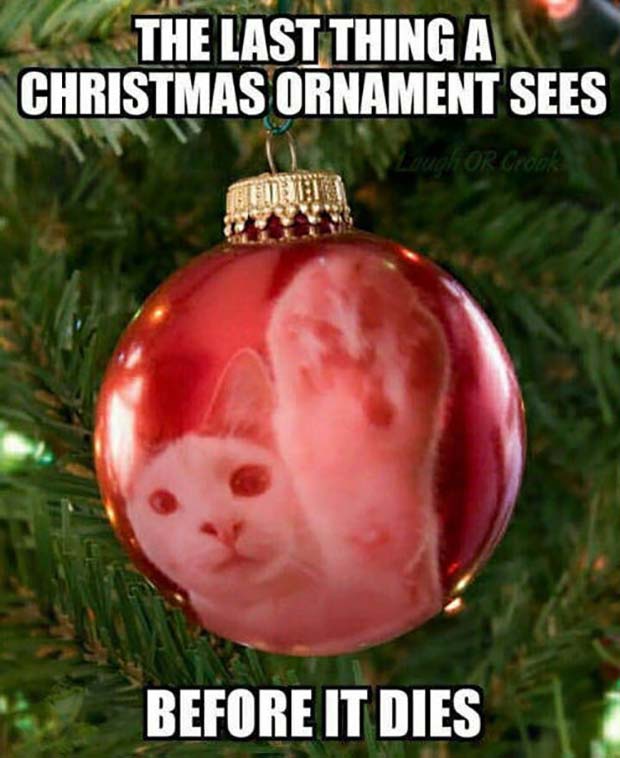 Funny Christmas Holiday Meme