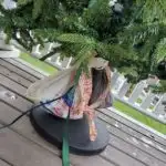 How To Keep An Outside Christmas Tree From Blowing Over