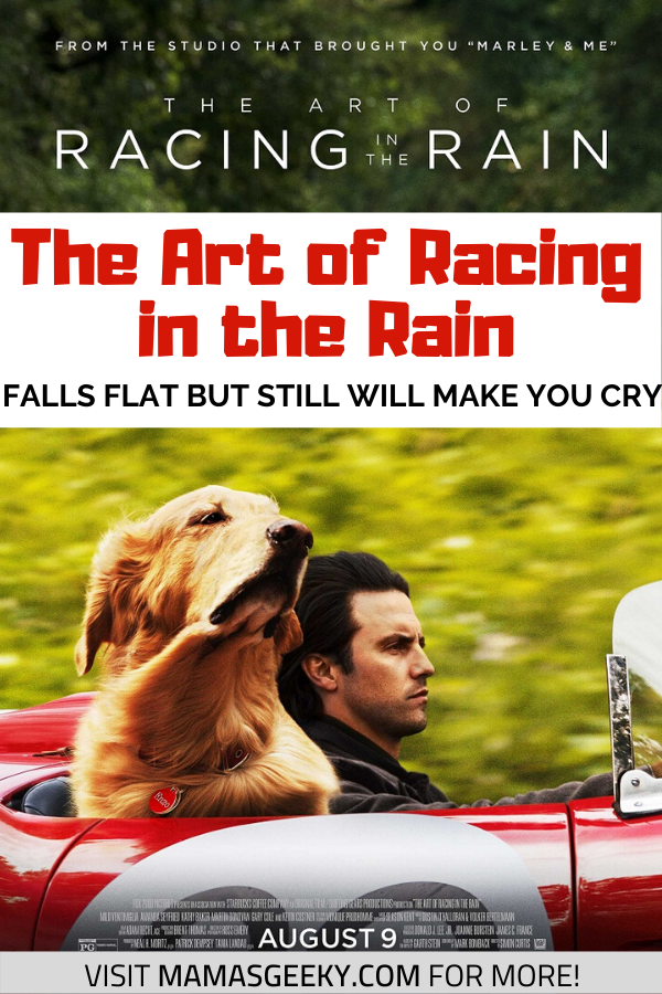 the art of racing in the rain review