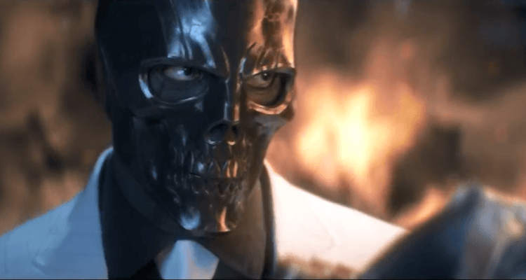 black mask birds of prey