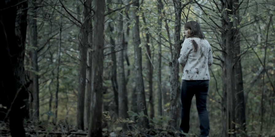 Cicada Song Brings Important Social Issues To Light In The Perfect Way cicada song