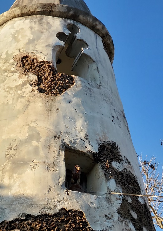 the lion king scavenger hunt mufasa