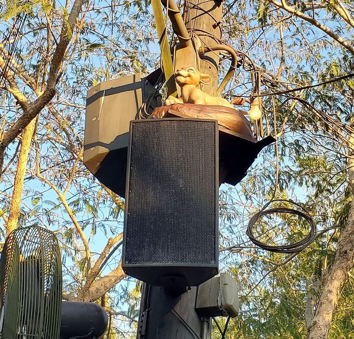 the lion king scavenger hunt nala