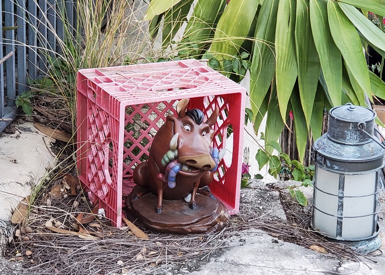 the lion king scavenger hunt pumbaa