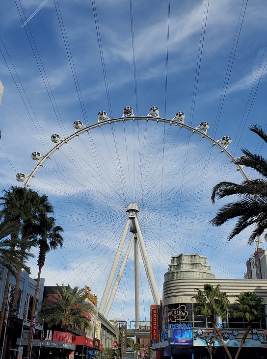 fly linq vegas