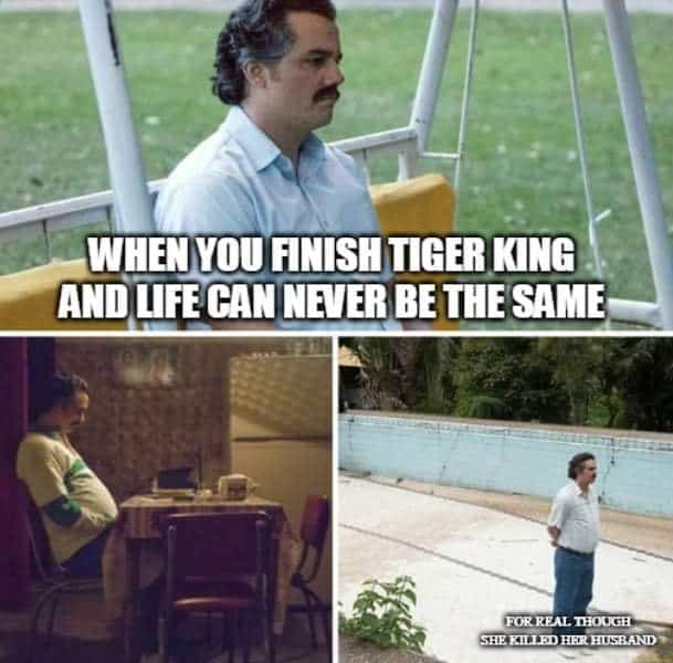 tiger king meme