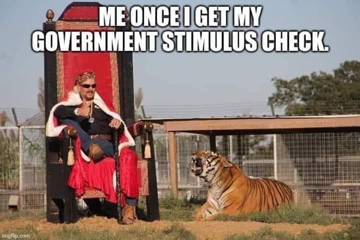 A Collection of the Very Best Netflix's Tiger King Memes