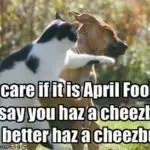 The Best & Funniest April Fool’s Day Memes