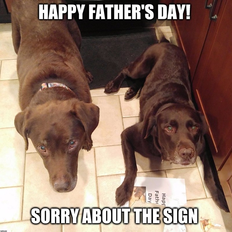 A Collection Of The Very Best Father S Day Memes