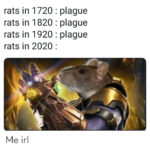 A Collection Of The Very Best Plague Memes