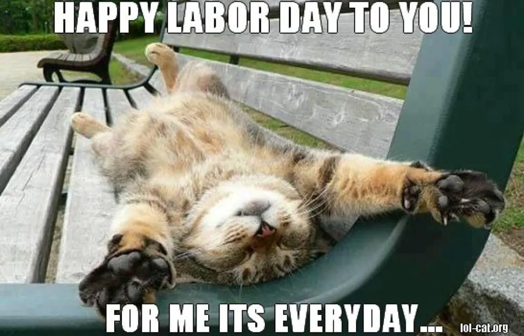 A Collection Of The Best Labor Day Memes